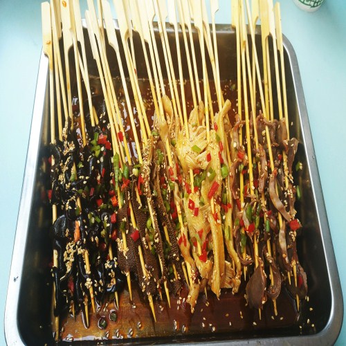 開(kāi)心貓串串培訓(xùn)