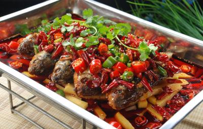  四川小吃烤魚技術(shù)培訓(xùn)學(xué)校哪里好？