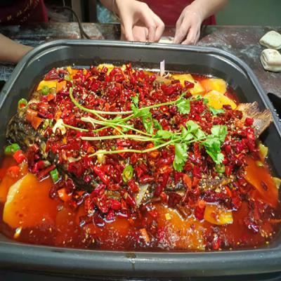 哪里可以學(xué)習(xí)香辣烤魚(yú)技術(shù)培訓(xùn)？