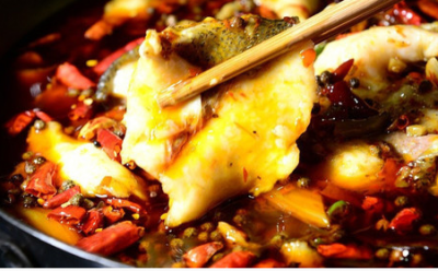 選擇火鍋魚(yú)培訓(xùn)機(jī)構(gòu)擇在哪里很好？