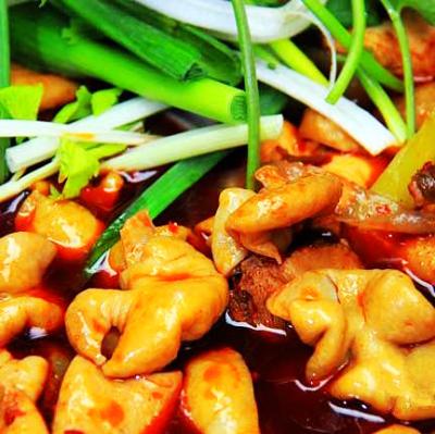 肥腸雞技術(shù)培訓(xùn)要去哪里學(xué)？